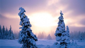 Natur