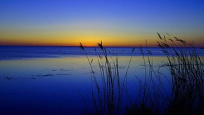 Natur