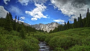 Natur