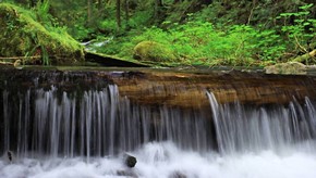 Natur