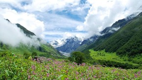 Natur
