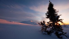 Natur