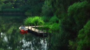 Natur
