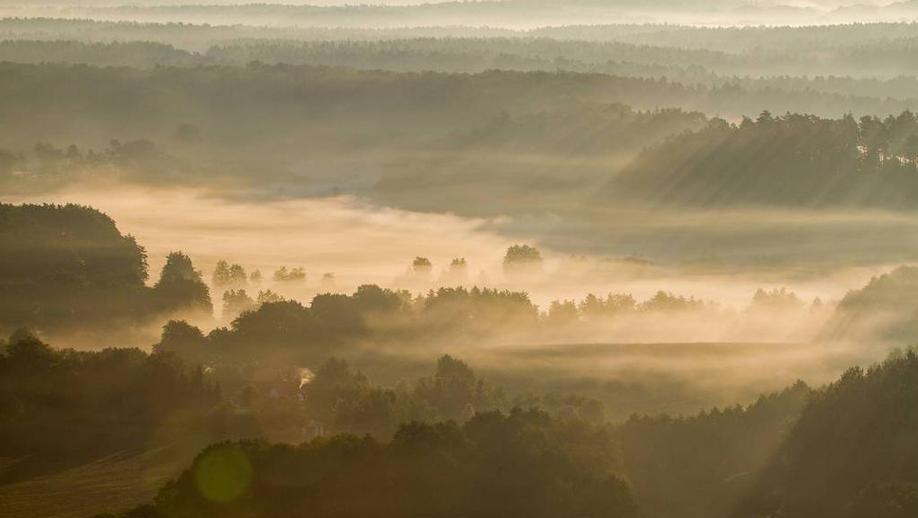 Natur