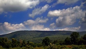 Natur