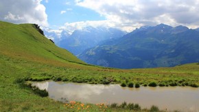 Natur