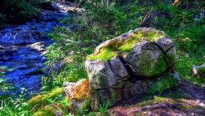 Natur