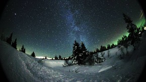 Natur