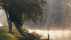 Natur