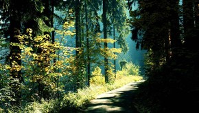 Natur