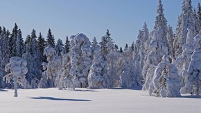 Natur