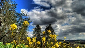 Natur