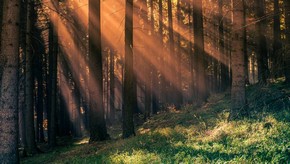Natur