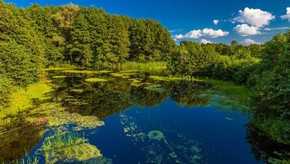 Natur