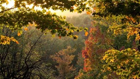 Natur