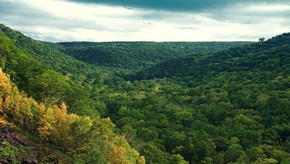 Natur