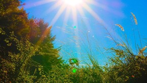 Natur