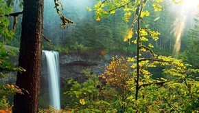 Natur