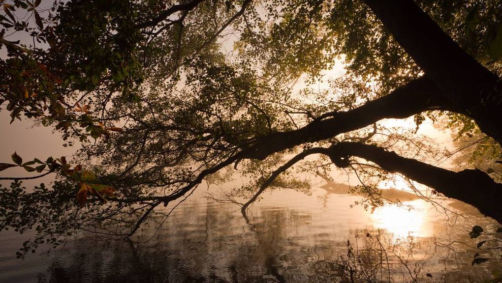 Natur