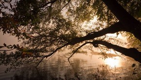 Natur