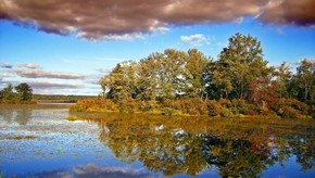 Natur