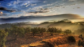 Natur