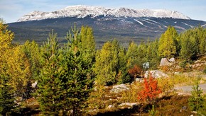 Natur