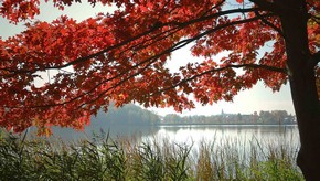 Natur
