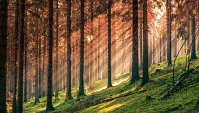 Natur