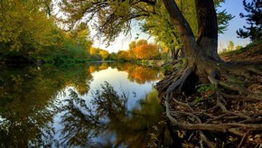 Natur
