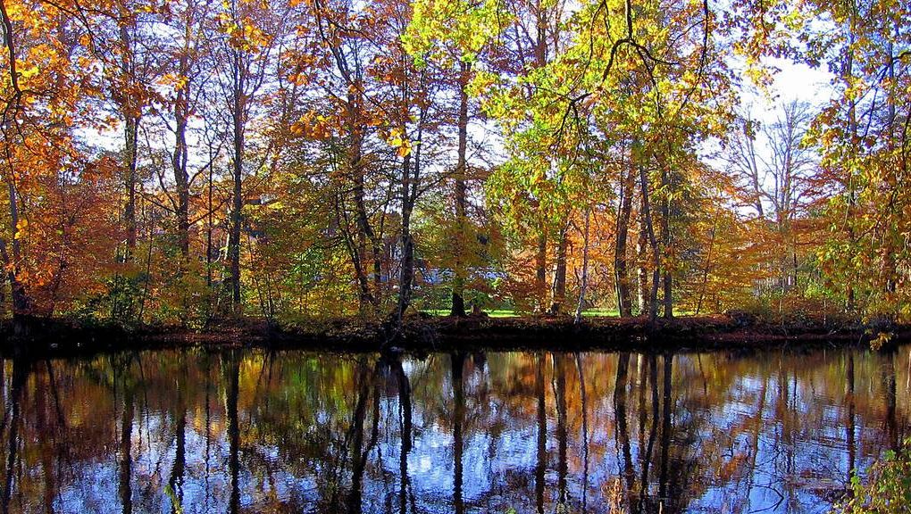 Natur