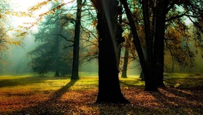 Natur