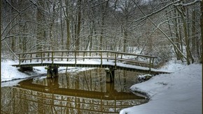 Natur