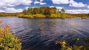 Natur