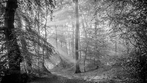 Natur