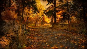 Natur