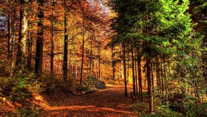 Natur