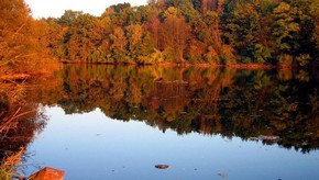 Natur