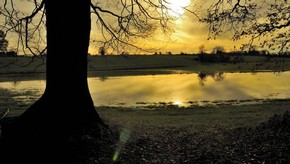 Natur