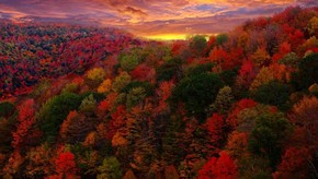 Natur