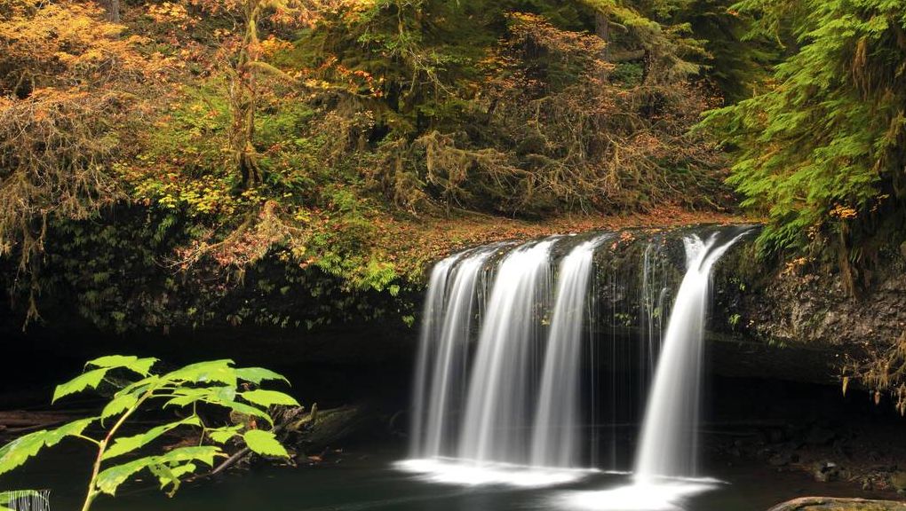 Natur