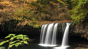 Natur