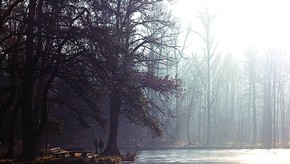 Natur