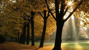 Natur
