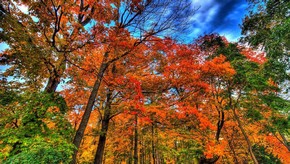 Natur