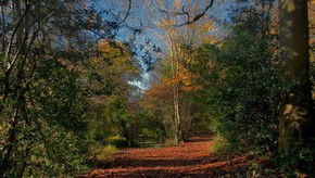 Natur