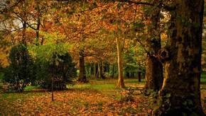 Natur