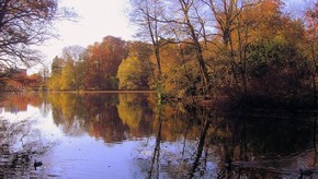 Natur
