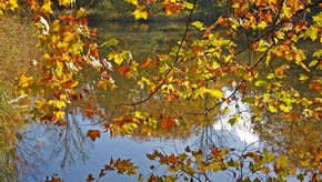 Natur