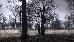 Natur